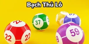 Bạch thủ lô kuwin