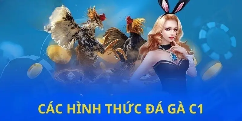 Các hình thức thi đấu tại sảnh cược