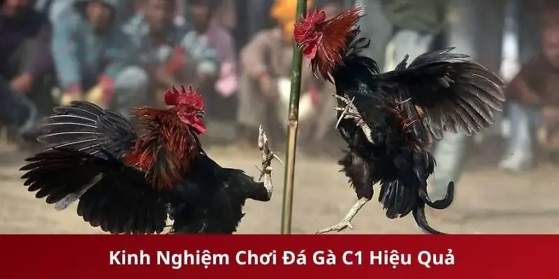 Kinh nghiệm giúp mang về chiến thắng khủng