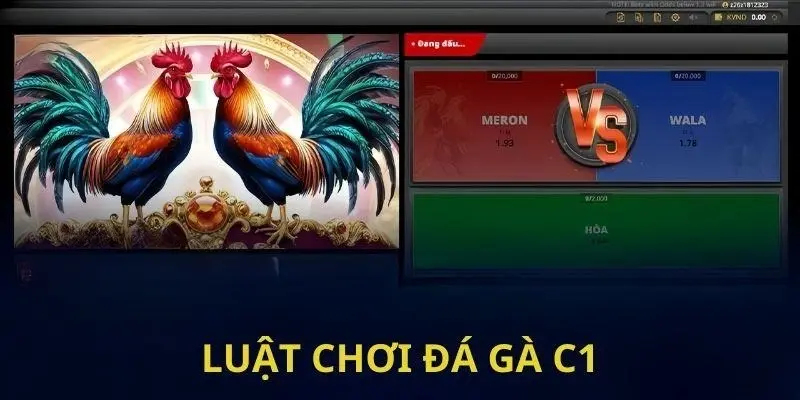 Luật đá gà C1 phù hợp với mọi tân thủ