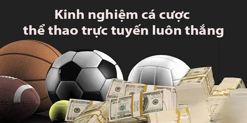 KInh nghiệm chơi cá cược thể thao Kuwin